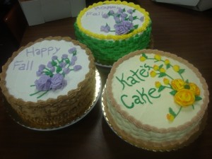 chocolate belles students cakes