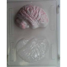 3-D Brain Chocolate Mold