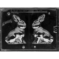 3D Hollow Easter Bunny Mold 5"